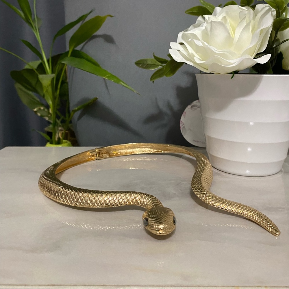 Beautiful snake necklace. Never worn by me. Gorgeous.